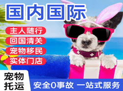 荷花航空运输国际宠物托运 【国